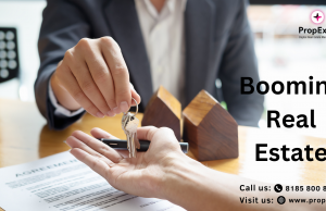 Why is real estate a booming industry in India 2024? Booming real estate