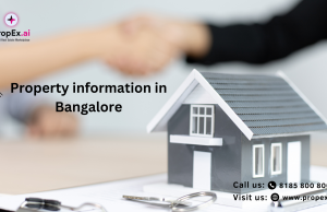 How to check property details in Bangalore? | Propex Guide how to check property details in bangalore