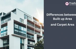 What are carpet areas and super built-up areas? – PropEx.ai What are carpet areas and super built-up areas?