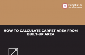 How to calculate carpet area from built-up area | Checklist Carpet area v/s built up area