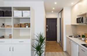 Every thing you should know about HIG Flats Meaning, full form etc. HIG Flats Meaning